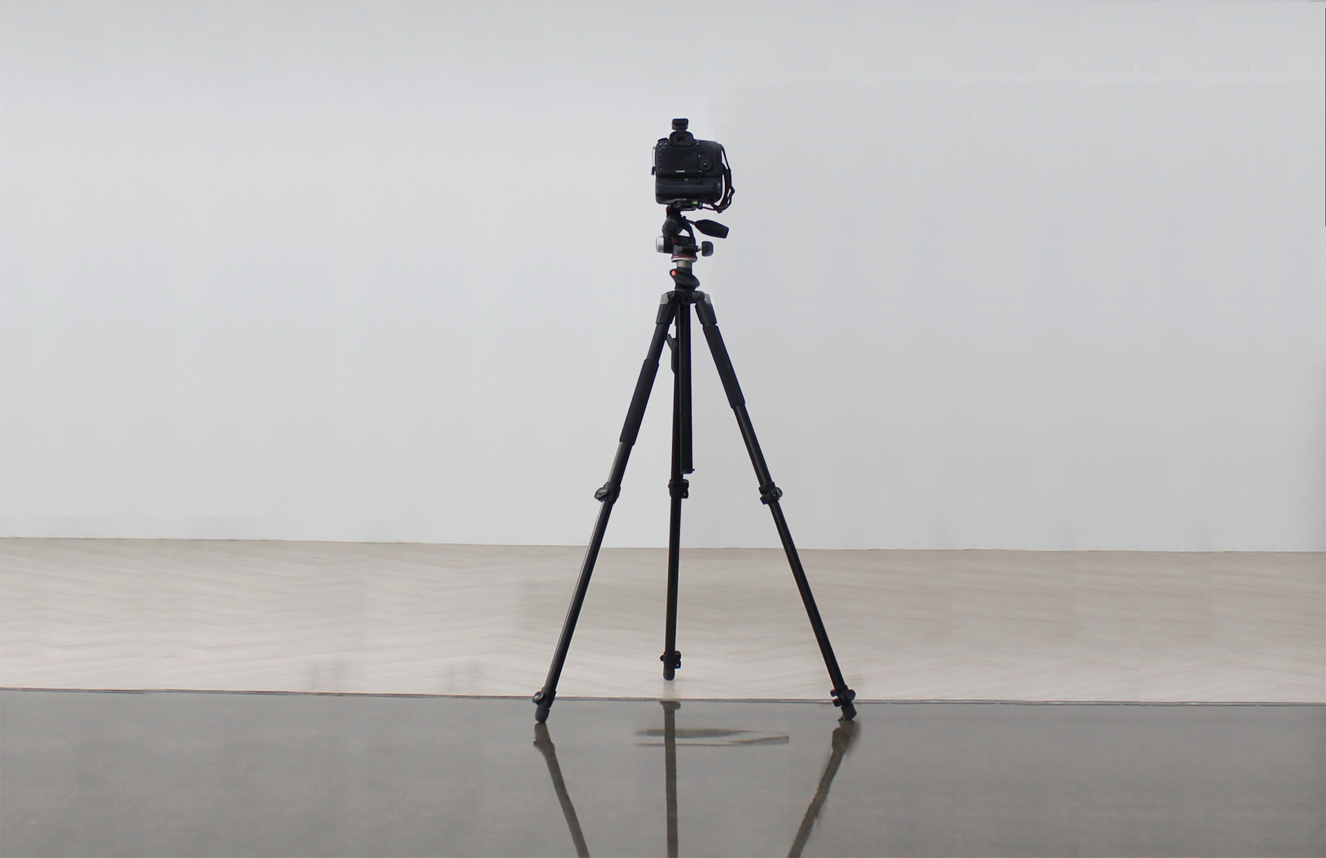 셀프스튜디오 리플렛