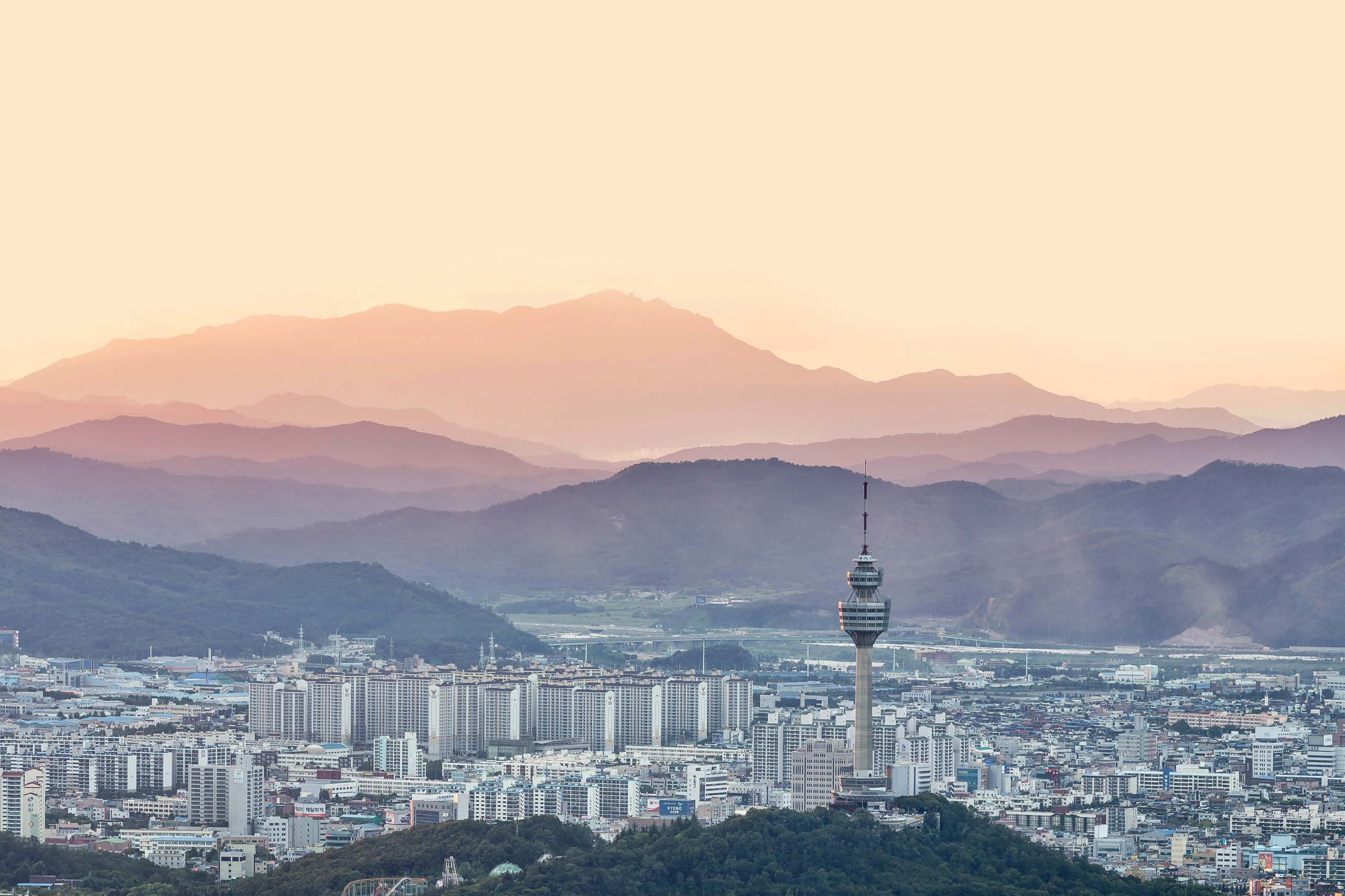 창업지도 리플렛