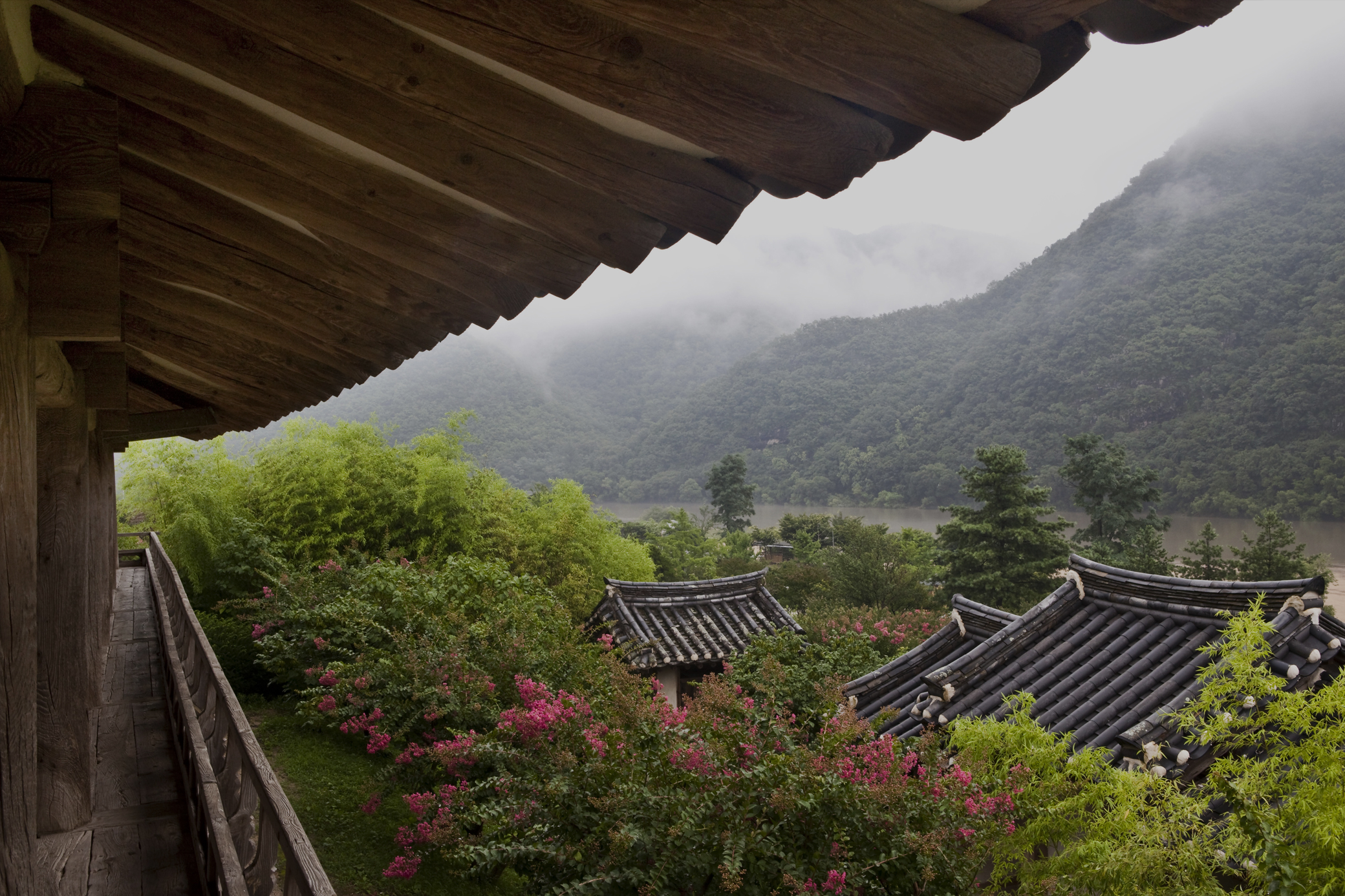 군위군 삼국유사 웹디자인
