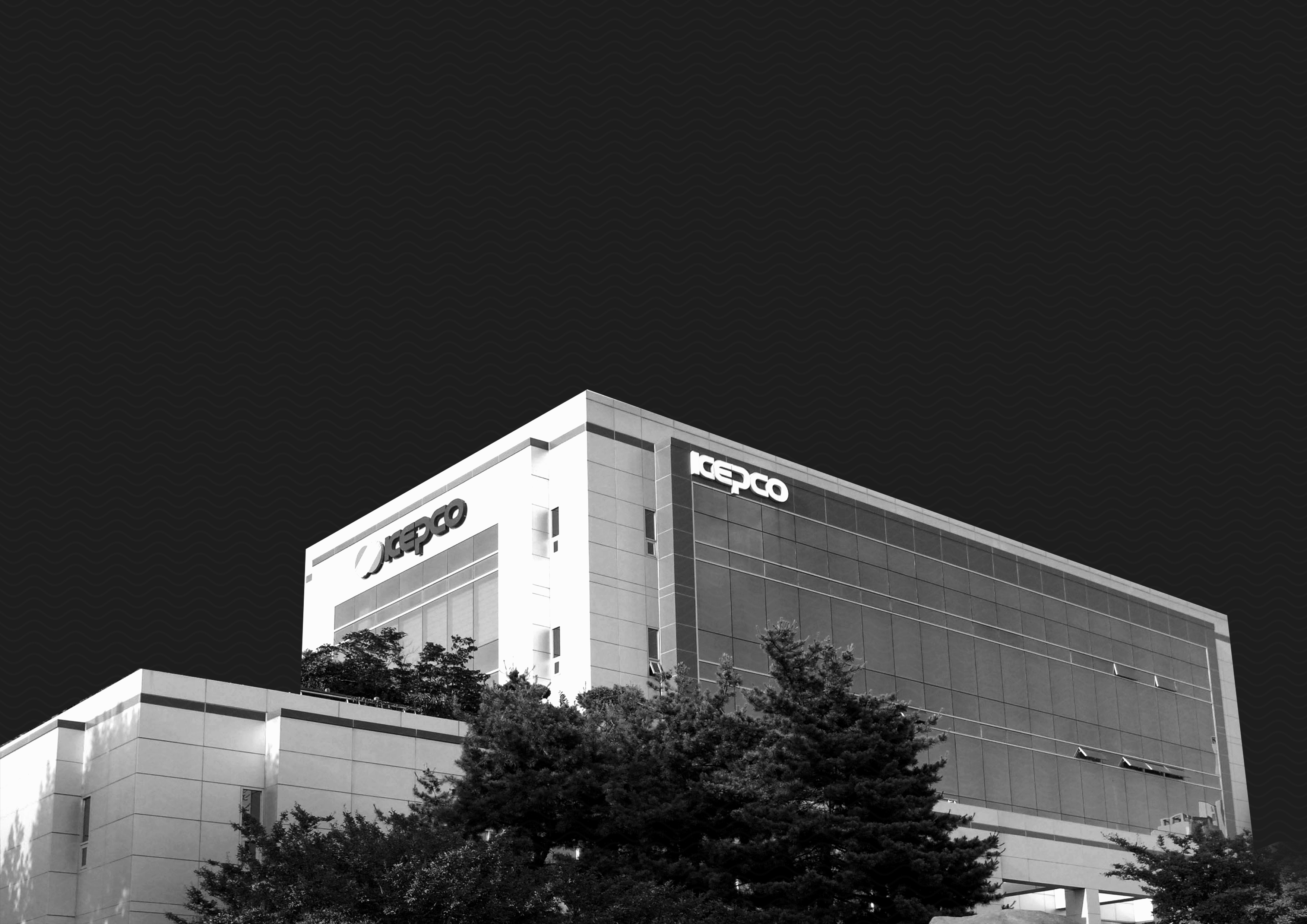 행복하고 신나는 대구본부를 위한 Rainbow Project